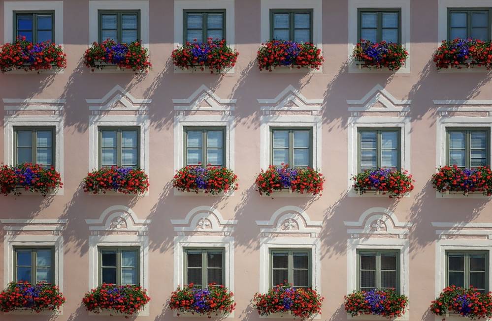 face immeuble jardiniere